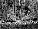 Forest, Boulders, Merced River, Yosemite Valley, 1999 (horizontal)