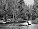 Merced River at Tenaya Creek, Yosemite Valley, 2001
