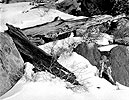 Logs, Snow, Carson Pass, California, 1991