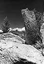Stump, Granite, Castle Rock, Emigrant Wilderness, California, 1989