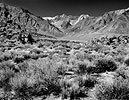 McGee Canyon, Eastern Sierra Nevada, 2003