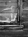 Window Detail, Filosena Ranch, 2002