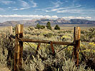 Fence Posts, Eastern Sierra, California, 2003