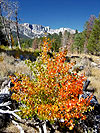 Tenaya Lake, Yosemite National Park, 2003