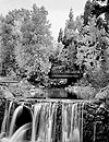 Autumn Aspens, Virginia Creek, 2000