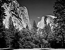 Half Dome, Washington Column, Forest, Yosemite National Park, 2000